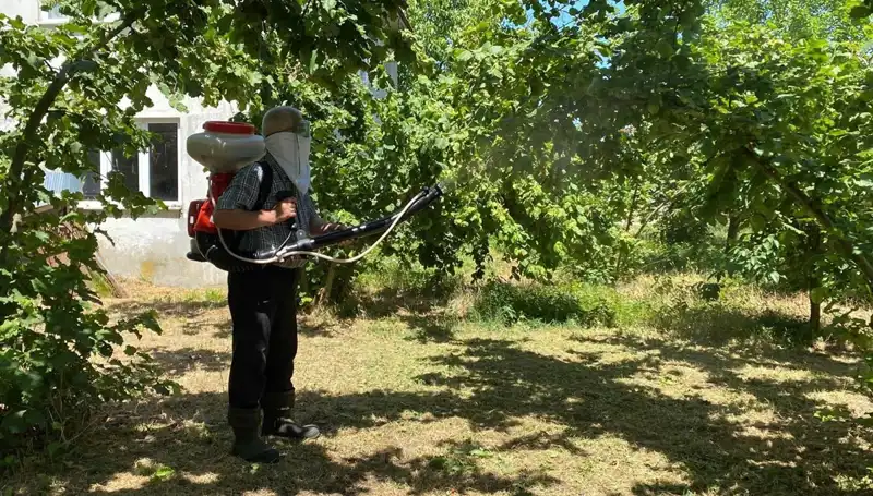 Çiftçiler Kükürt ve Samuray Arısı ile Tarımda Yeni Bir Dönem Başlatıyor