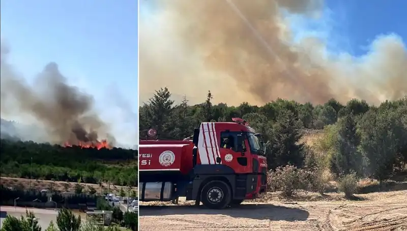 Gebze'de Çıkan Orman Yangını Korkutucu Boyutlara Ulaştı
