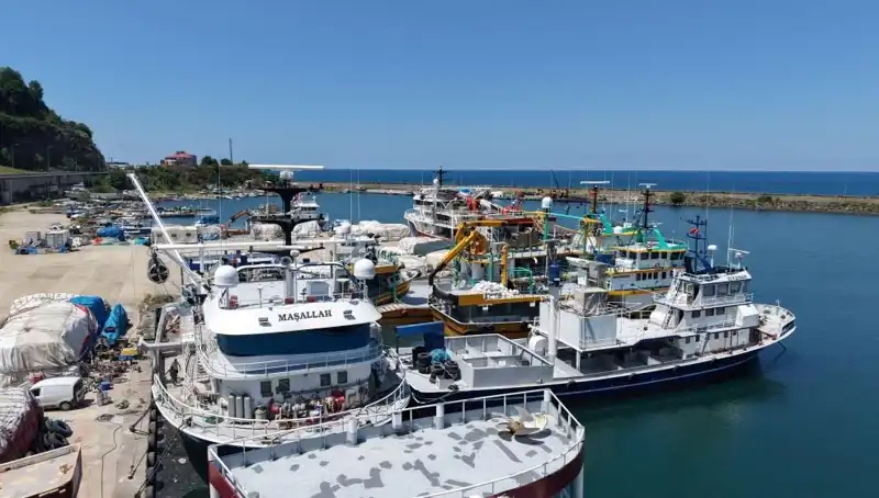 Karadeniz'de 1 Eylül İçin Geri Sayım: Heyecan ve Merak Zirveye Çıkıyor