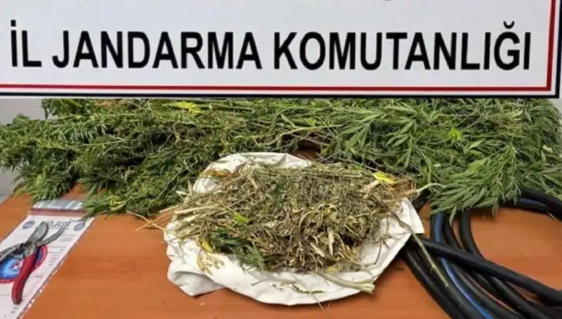 Niğde'de Dev Uyuşturucu Operasyonu: Yakalananlar Şok Edici!