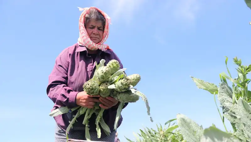 Tarladan Sofralara: Sebze Meyve Fiyatları Uçtu, Tezgahlarda Tanesi 50 TL!
