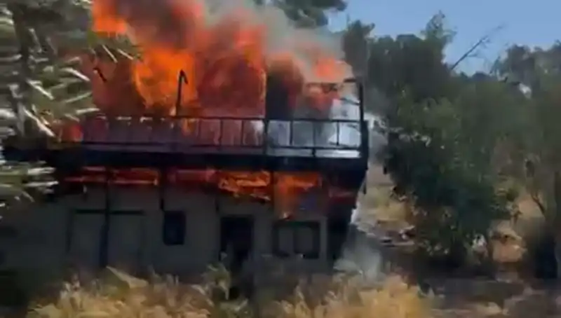 Bodrum'da Aniden Büyüyen Yangın Paniğe Neden Oldu