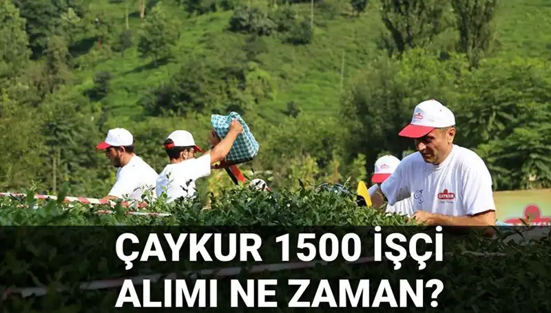 Çaykur İşçi Alımı Başvuru Tarihleri Açıklandı mı? Son Gelişmeler