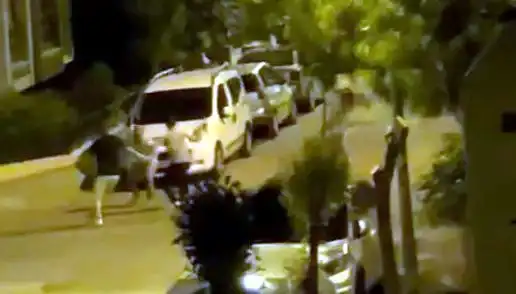 Avcılar'da Üç Kişinin Saldırısına Uğrayan Vatandaşı Kahramanlar Kurtardı