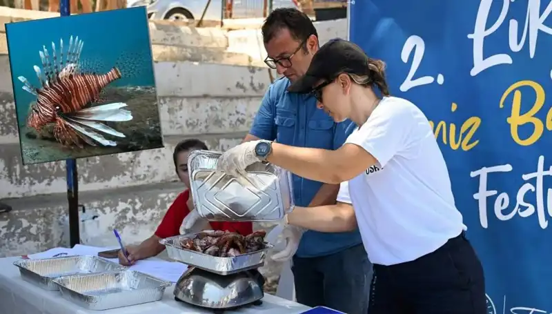 Antalya'da İstilacı Aslan Balığı Avlama Yarışması: Kazananlar Ödüllendirildi
