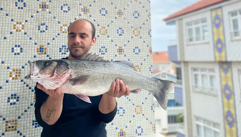 7,5 Kiloluk Dev Levrek: Yeni Avcıların Gözdesi Oldu