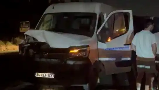 İstanbul'da Manda Kazası: Üç Kişinin Yaralandığı Olayın Ayrıntıları