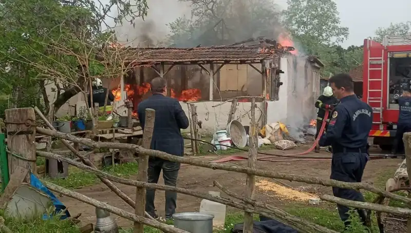 Elektrik Kontağından Çıkan Yangın, Evleri Tehdit Etti!